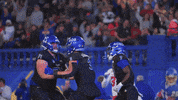 Sjsu GIF by San Jose State Spartans
