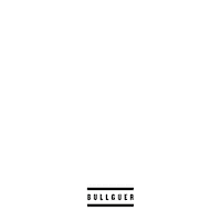 Sp Ligado Sticker by Bullguer