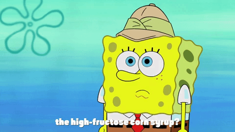 season 9 lost in bikini bottom GIF by SpongeBob SquarePants
