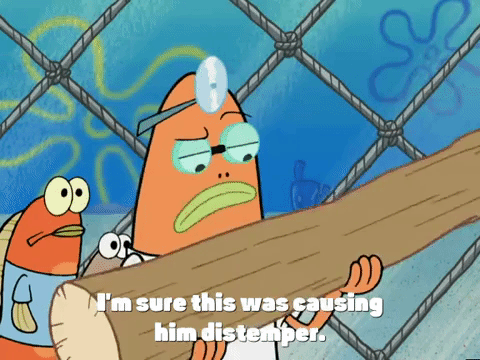 season 4 episode 13 GIF by SpongeBob SquarePants