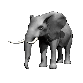 elephant STICKER