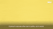 Usa Voting GIF by ACLU