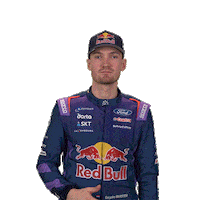 Hang Loose Ford Sticker by FIA World Rally Championship