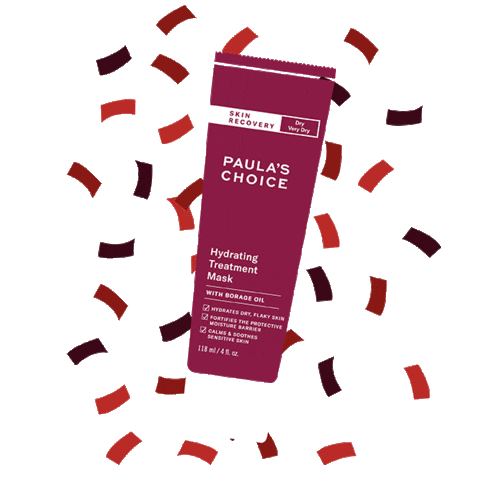 Skin Care Holiday Sticker by Paula's Choice Skincare