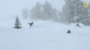 Snowboarding Nat Geo GIF by National Geographic Channel