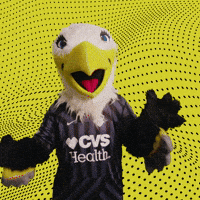 Excited Lets Go GIF by Washington Spirit