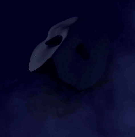 Mask Theatre GIF by The Phantom of the Opera