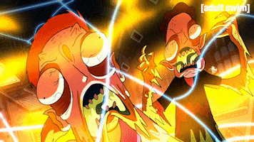 rickandmorty season 1 episode 5 adult swim rick and morty GIF