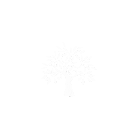 Aceitedeoliva Sticker