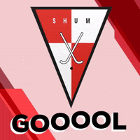 shummasaanet gol hoquei shum GIF