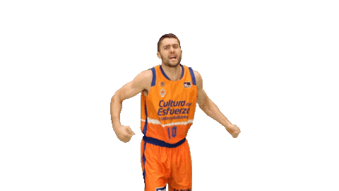 Vamos Liga Endesa Sticker by ACB