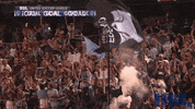happy fresno fc GIF by USL