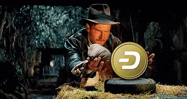 Indiana Jones Meme GIF by Dash Digital Cash