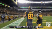 Pittsburgh Steelers Football GIF by NFL