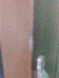 Bayram GIF
