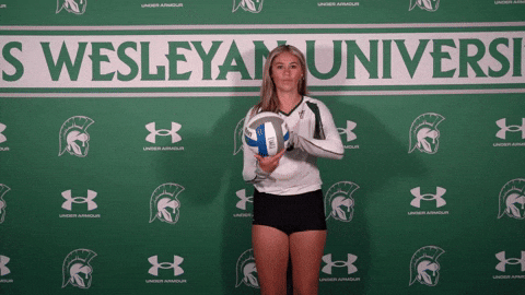 Iwuwvb24 GIF by iwusports