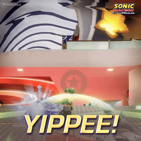 Sega Sonic Racing GIF by Sonic the Hedgehog