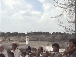 tv azteca mexico GIF