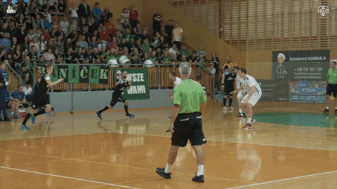 Fans Handball GIF by HCB Karviná