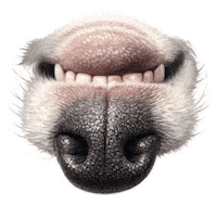 Happy Fun Sticker by abana a cauda