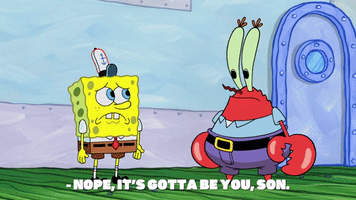 season 9 GIF by SpongeBob SquarePants