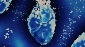 heart glas2018 GIF