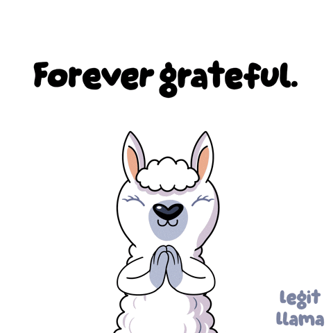 For Life Thank You GIF by VeeFriends