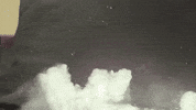 antikino smoke up in smoke GIF