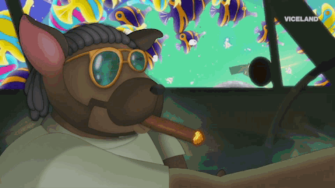 Viceland GIF by Party Legends