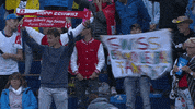 GIF by Volleyball World