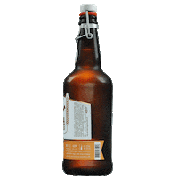 beer garrafa Sticker by Imigração