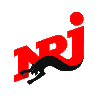 concert angele Sticker by NRJ Hit Music Only