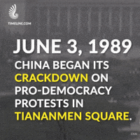 china history GIF by Timeline