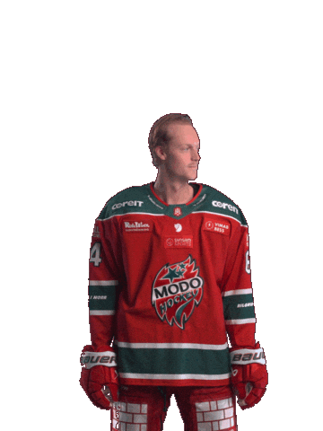 Sticker by MoDo Hockey