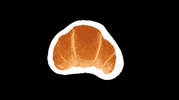 bigrockschool bigrock bigrockschool GIF