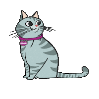 WhiskasBR cat gato wet dry Sticker