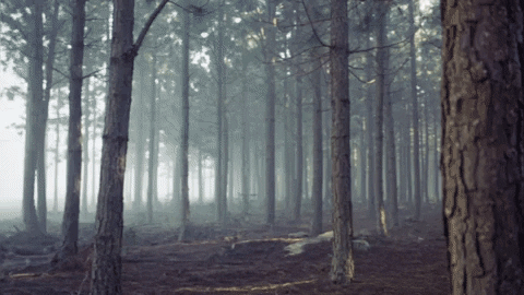 MulticomEntertainmentGroup  GIF