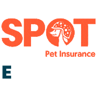 Getspotcovered Sticker by SPOT Pet Insurance