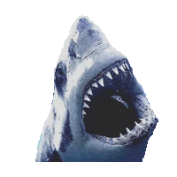 Shark Sticker by imoji
