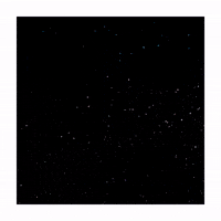 New York Fashion Week GIF by Chantal Caduff