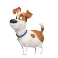 Illumination Entertainment Pets Movie Sticker by The Secret Life Of Pets