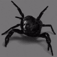 Fly Chad GIF by Gigachad