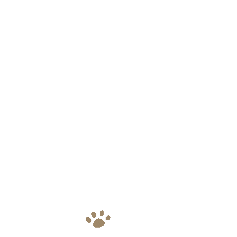 hellopitto cat dog paw paw print Sticker