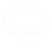 Australian Music Sticker by Mushroom Music