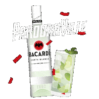 Party Festival Sticker by Bacardi