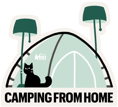 Cat Camping Sticker by REI