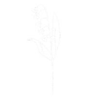 May Lily Of The Valley Sticker