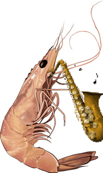 saxophone prawn GIF