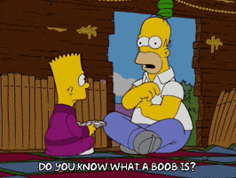 Episode 2 GIF by The Simpsons
