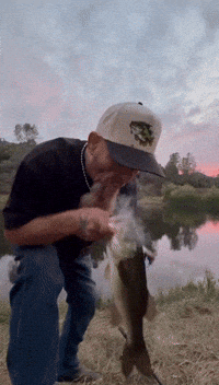 Bubba GIF